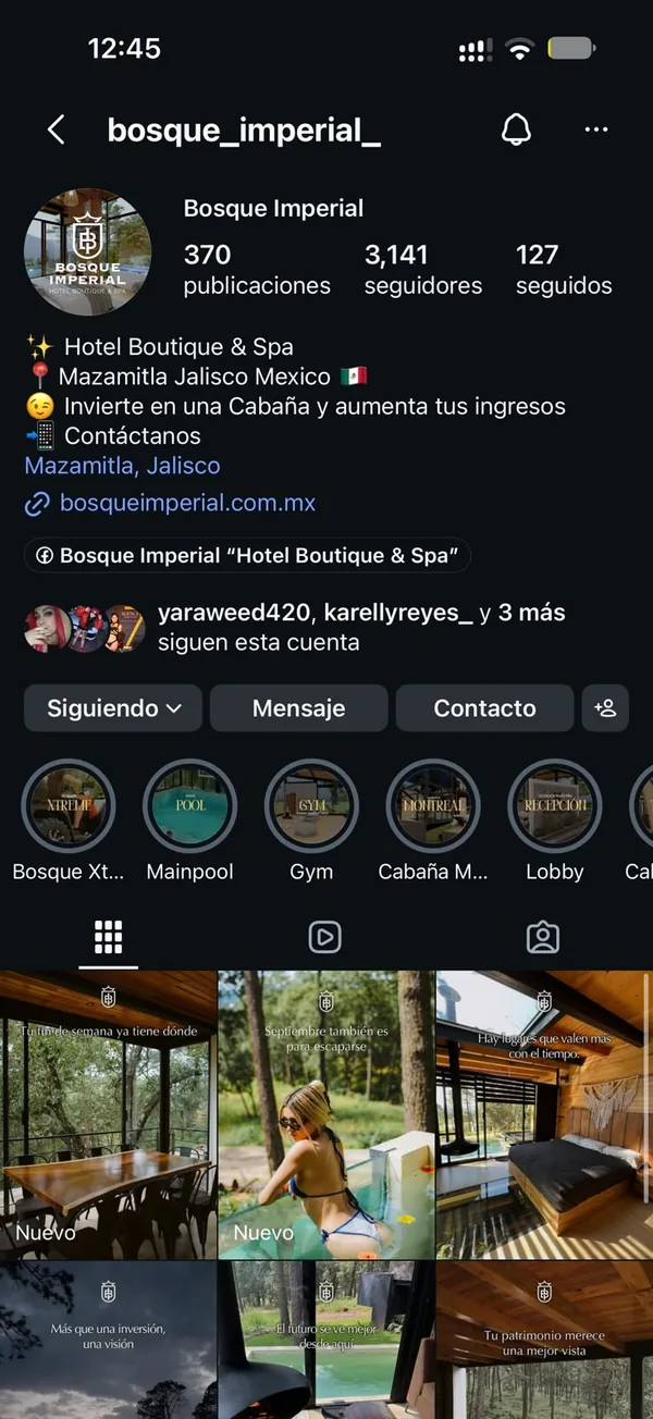 Perfil de Instagram de Bosque Imperial, cuenta administrada por Gecko
